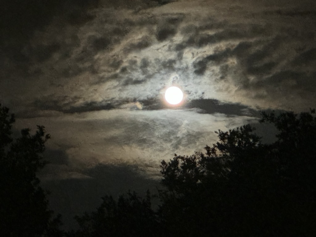 Full moon