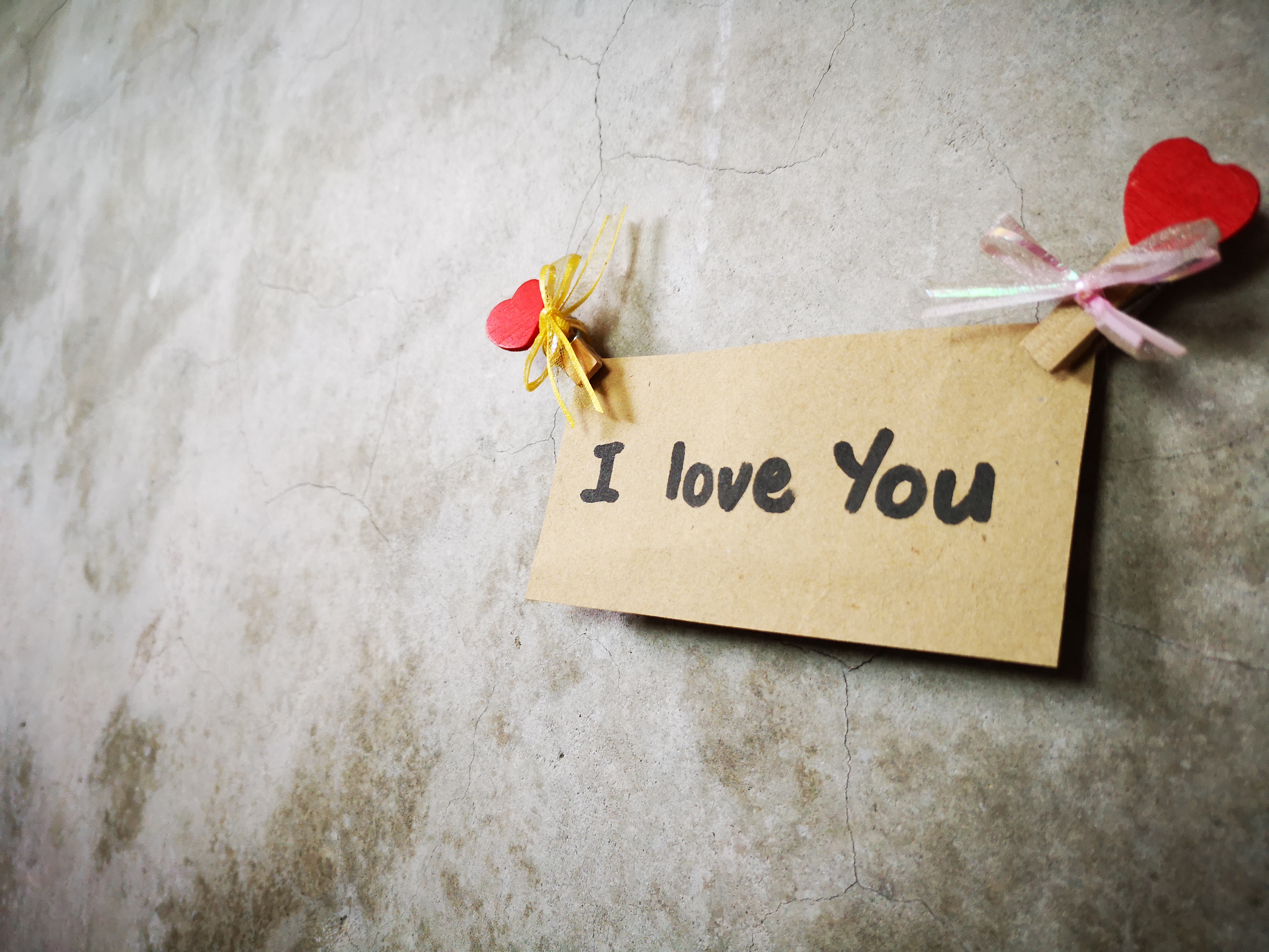 I love you I love you