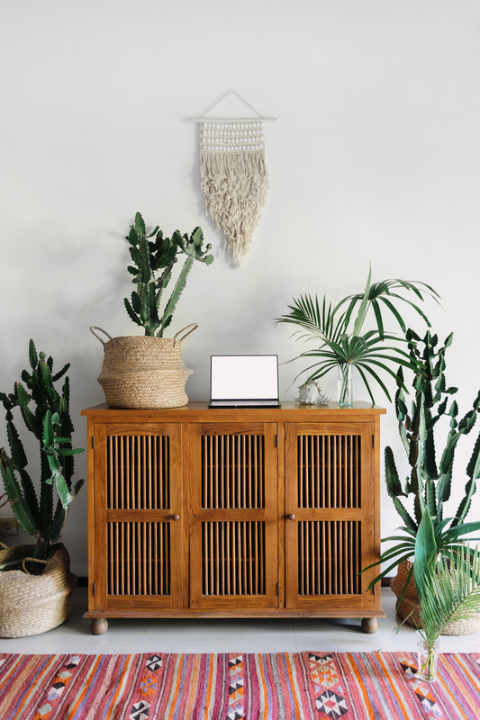 decor with plants decor with plants